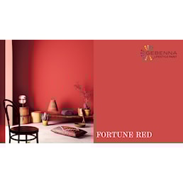 FORTUNE RED.jpg